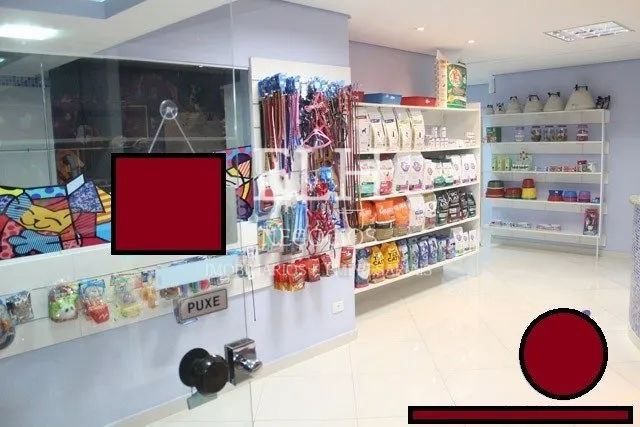 Pet Shop e Clinica Veterinária - São Caetano - Foto 3