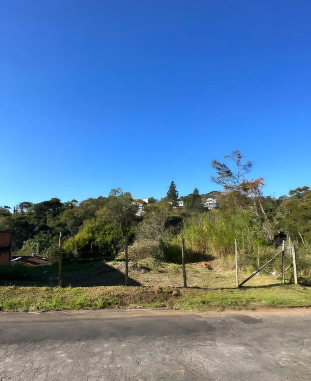 Foto - Juiz de Fora - Mundo Novo