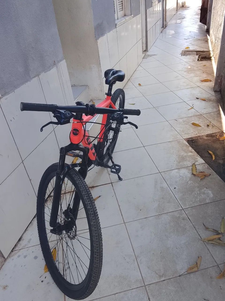 Bicicleta 29 
