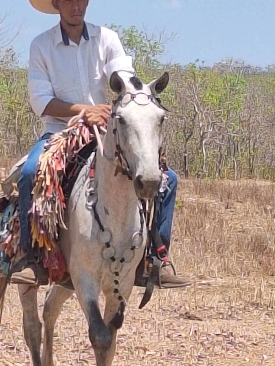 Peitoral de argola de alpaca  - Foto 5