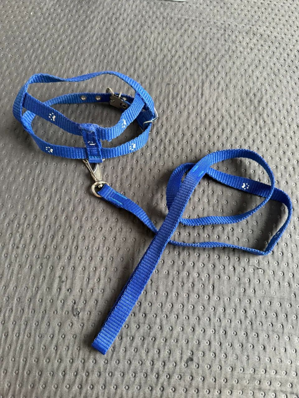 Produtos para cachorro  - Foto 3