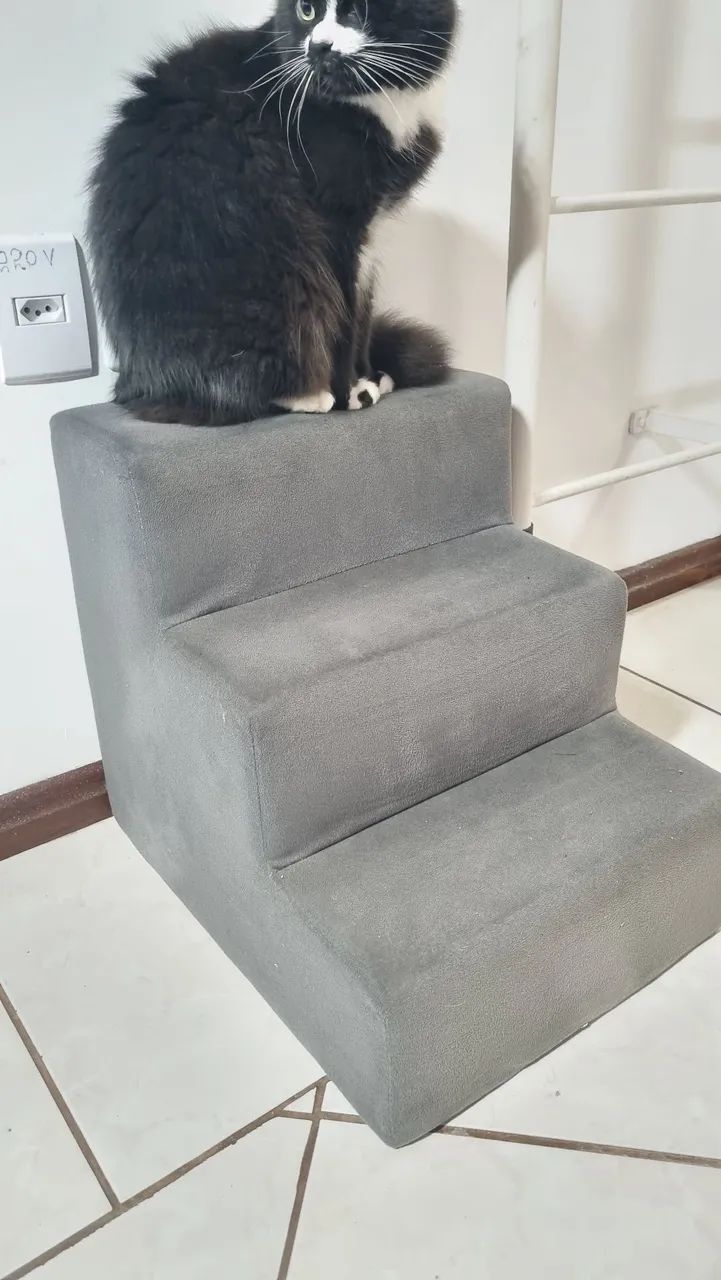 Escadinha para cachorro - Foto 2