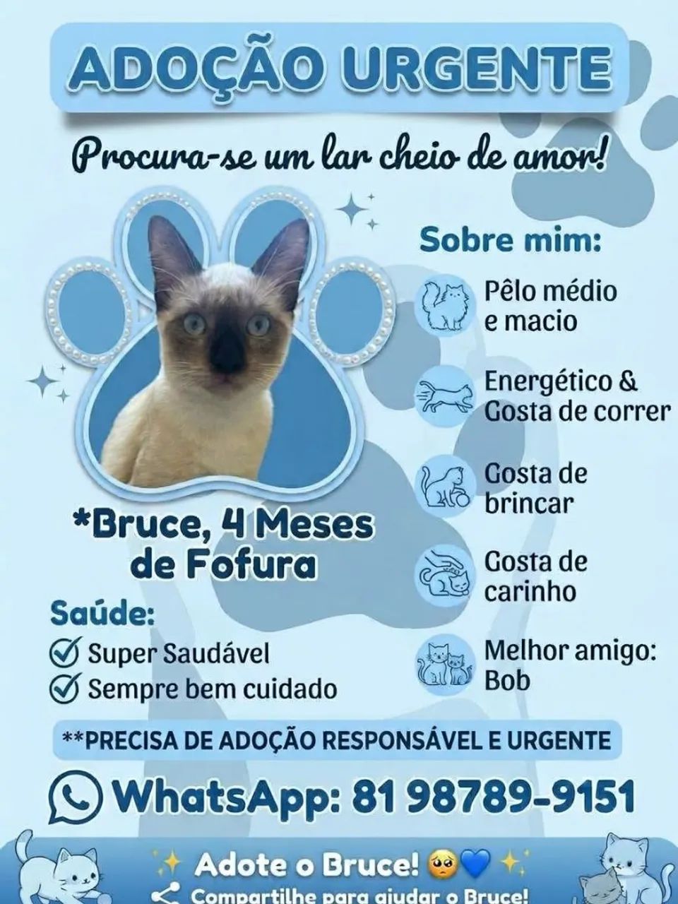 ADOÇÃO RESPONSÁVEL