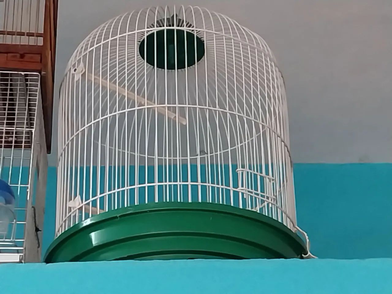 Gaiolas 