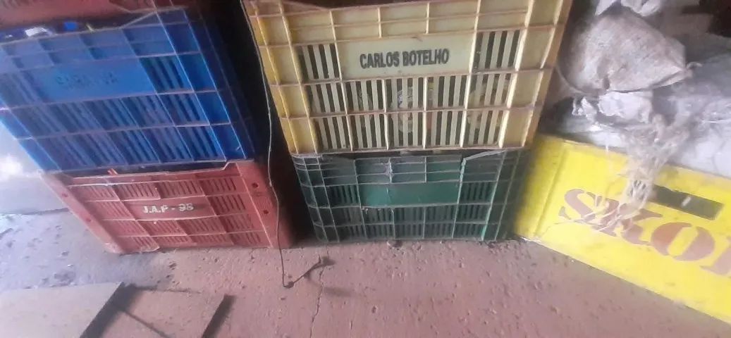 Sete engradados com garrafas de cervejas. - Foto 3