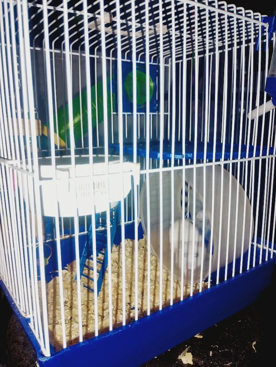 Hamster macho com gaiola e acessórios  - Foto 2