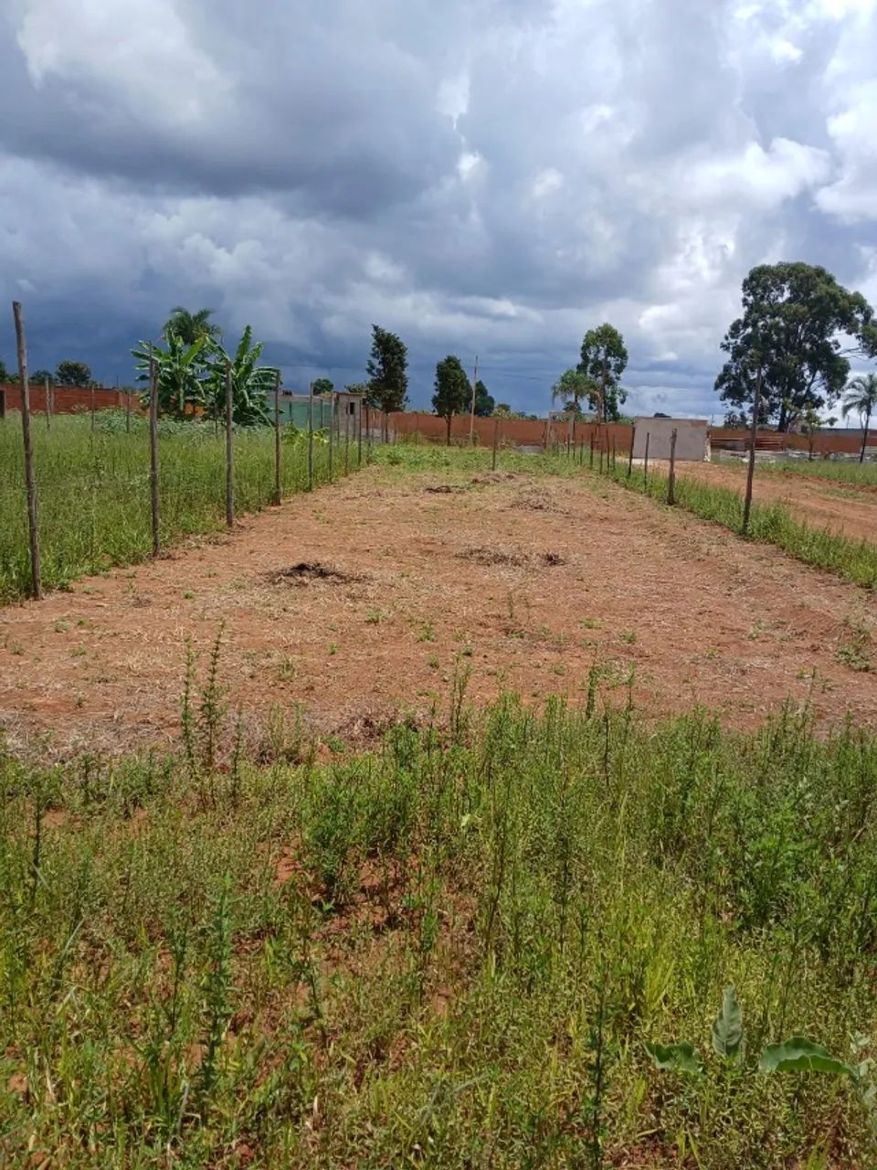 Foto - Brasília - Taguatinga Norte