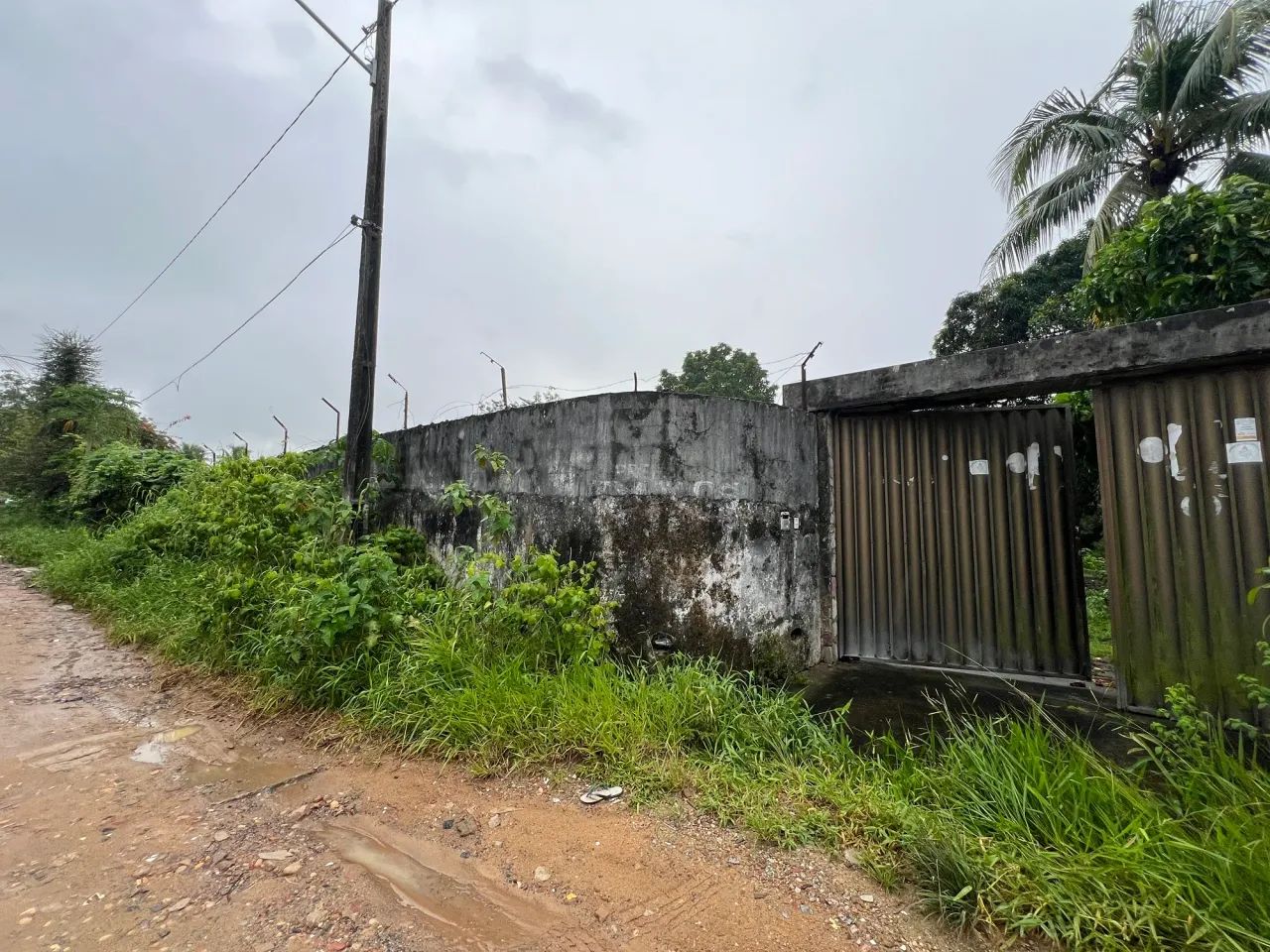 Sítio/Chácara para venda Guabiraba/Paulista - Foto 5