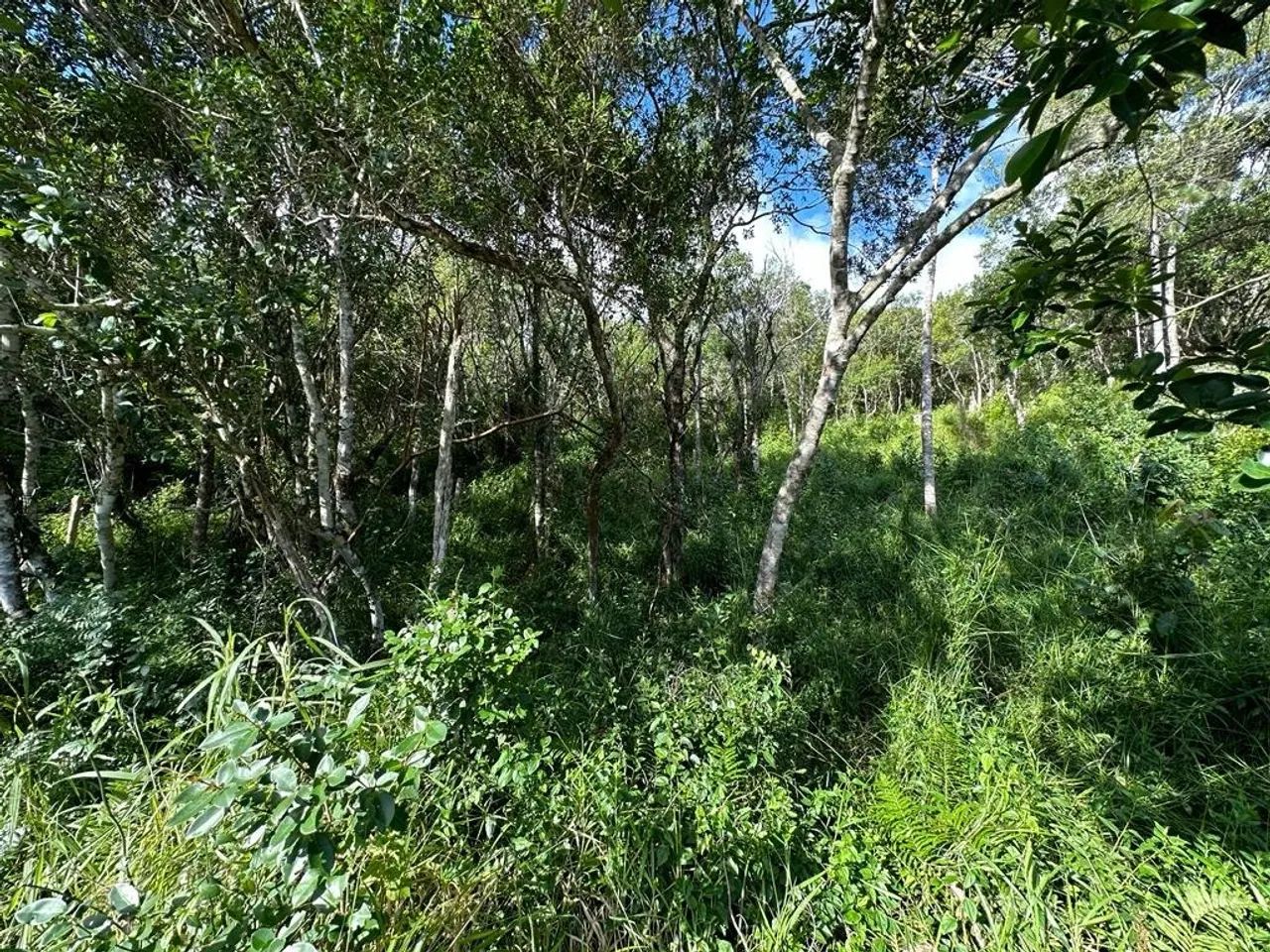Terreno de 1.494m² no João Paulo - Foto 3