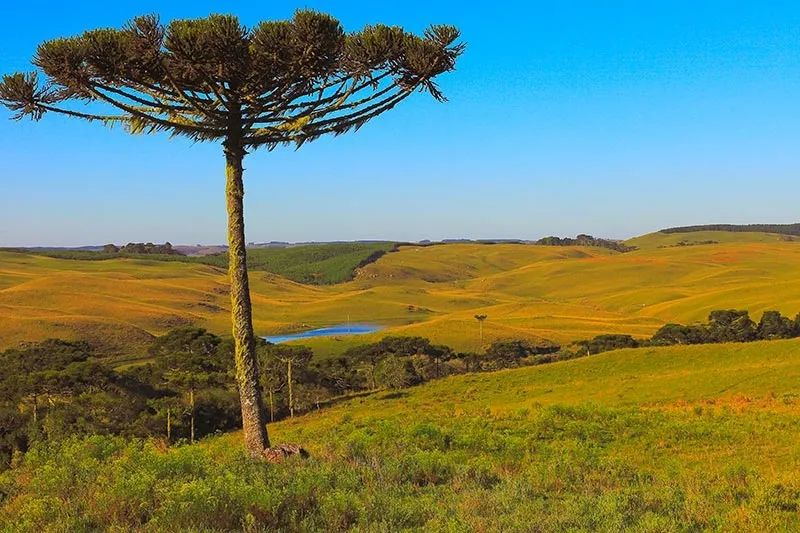 Terreno em Rancho Queimado no Invernadinha