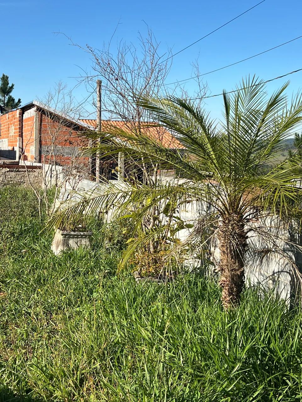 Chácara a venda 