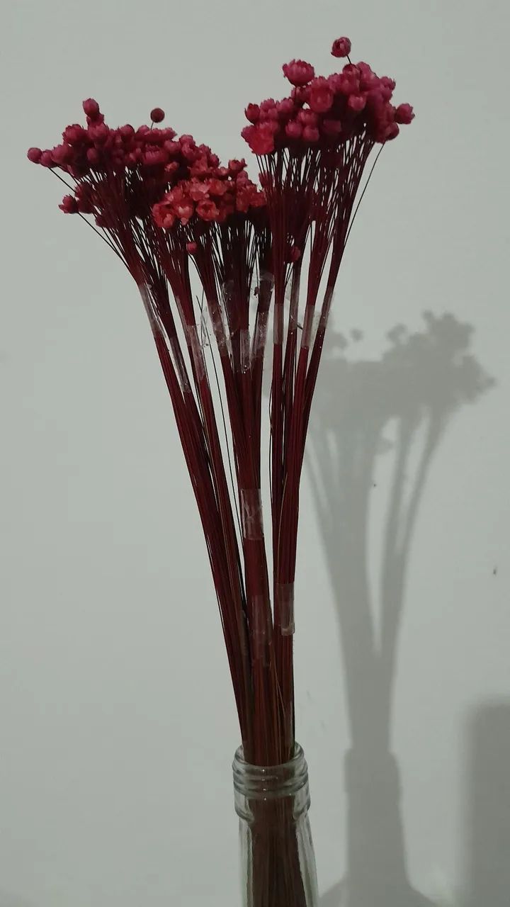 Flores vermelhas. - Foto 2