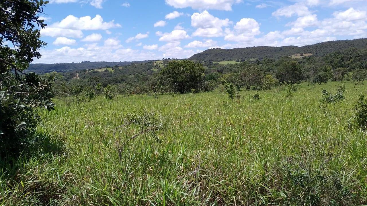 Vendo chácaras de 20.000mts 8.000 - Foto 4