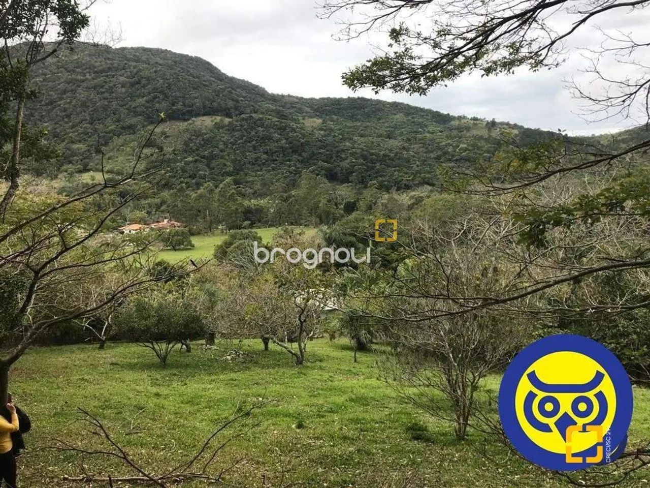 Lote/Terreno com 66.151m² - bairro Vargem Grande - Florianópolis - SC