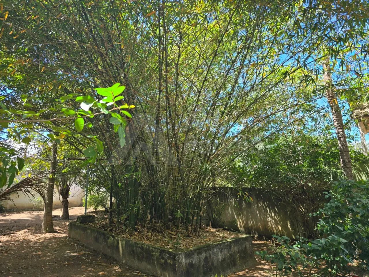 CHÁCARA COM 4 MIL M², Á VENDA EM GRAVATÁ-PE - Foto 5