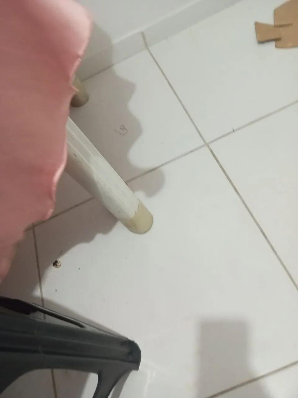 Vendo cachorro da raça pinscher - Foto 3