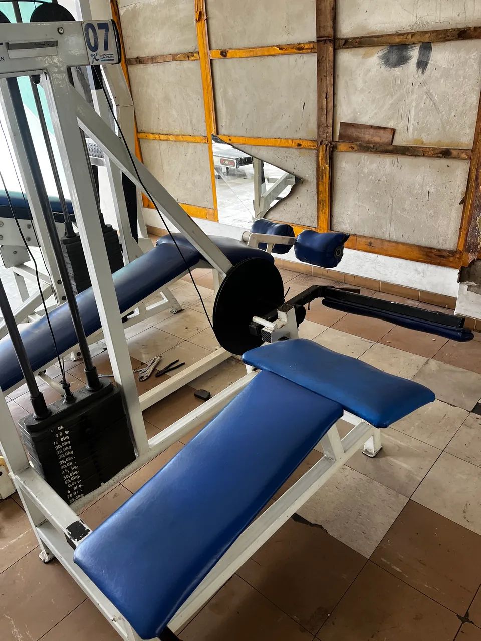 Mesa flexora