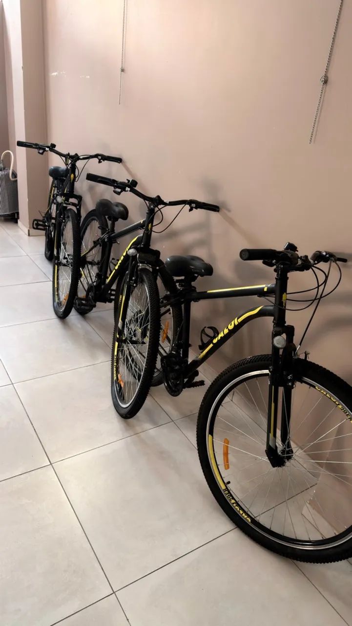Bicicleta Caroi Velox Aro29