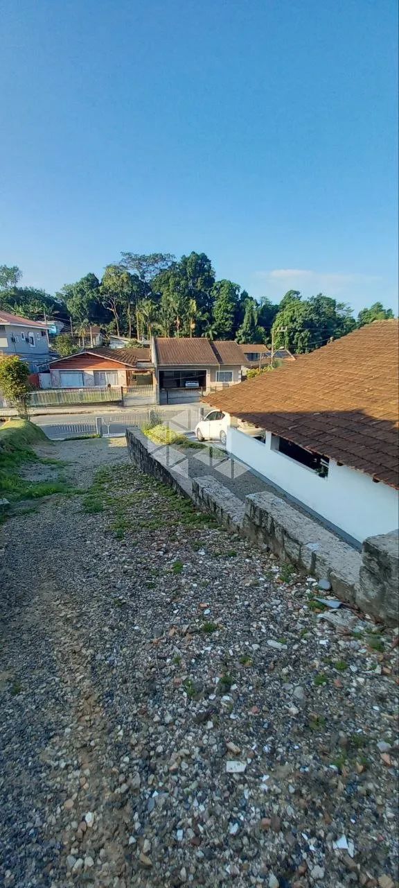 Terreno Floresta Melhor Localização - Foto 3