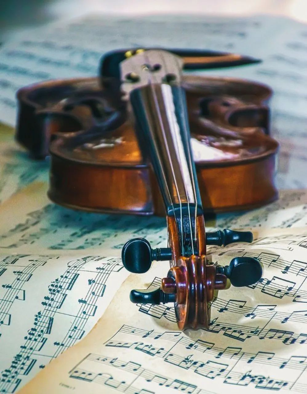 Aulas Violino-Particulares em Campinas-SP