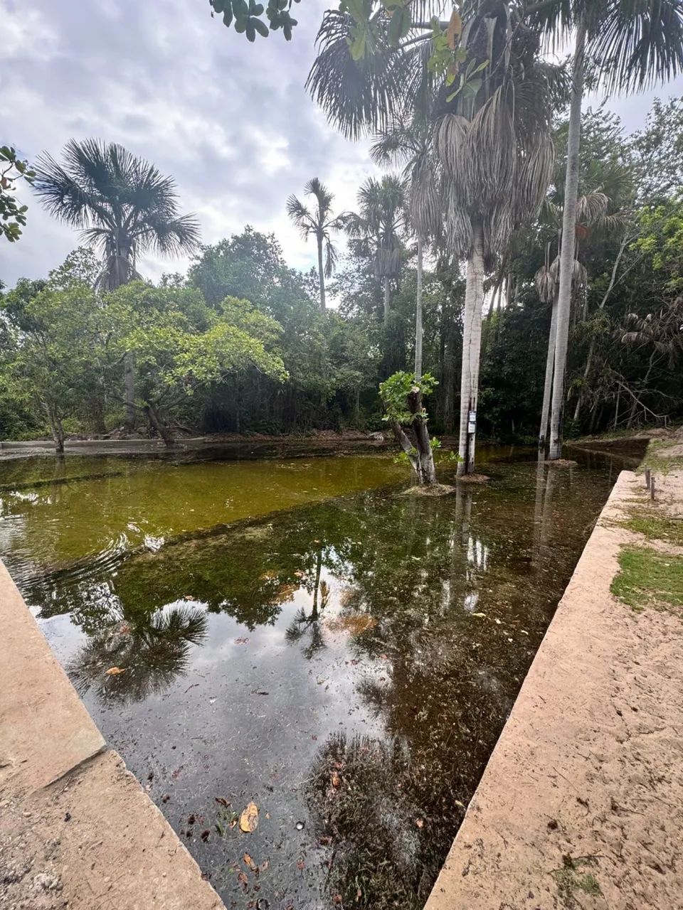 Vendo ágil de Terreno  - Foto 4
