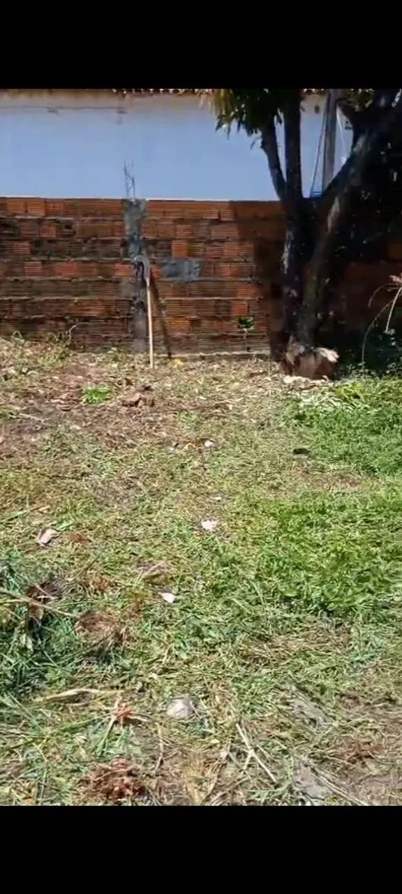 Terreno em Caucaia guagiru 
