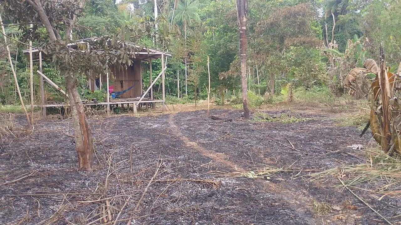 Vende-se lotes - Foto 4