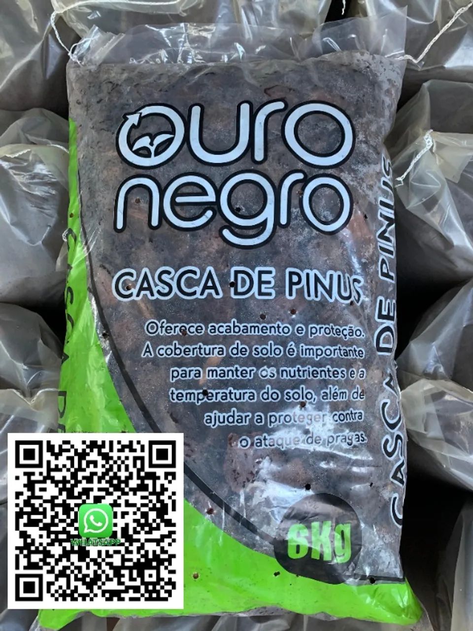 CASCA DE PINOS - Foto 3