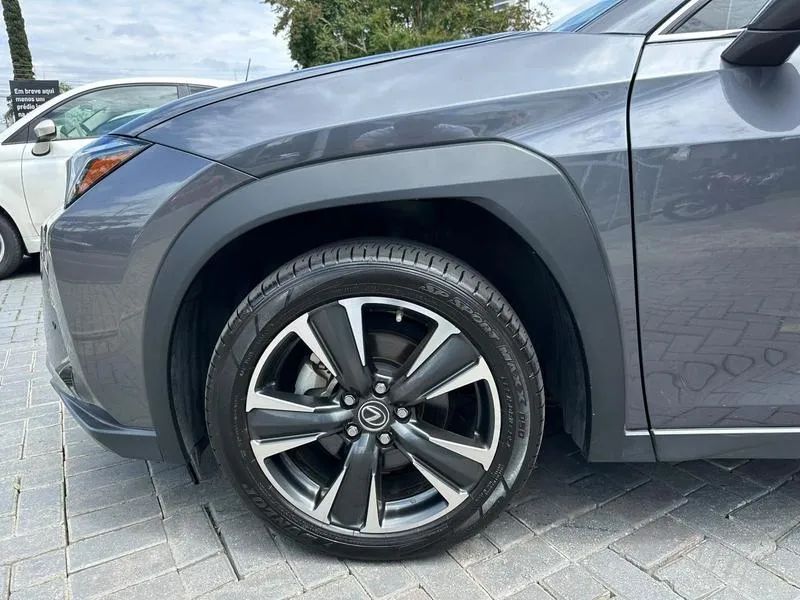 Lexus UX-250h Dynamic 2.0 16V Aut.(hybrid), foto 8 de 20