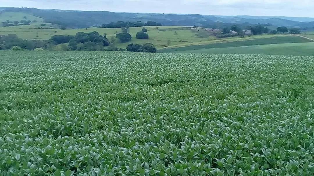Fazenda  a venda 