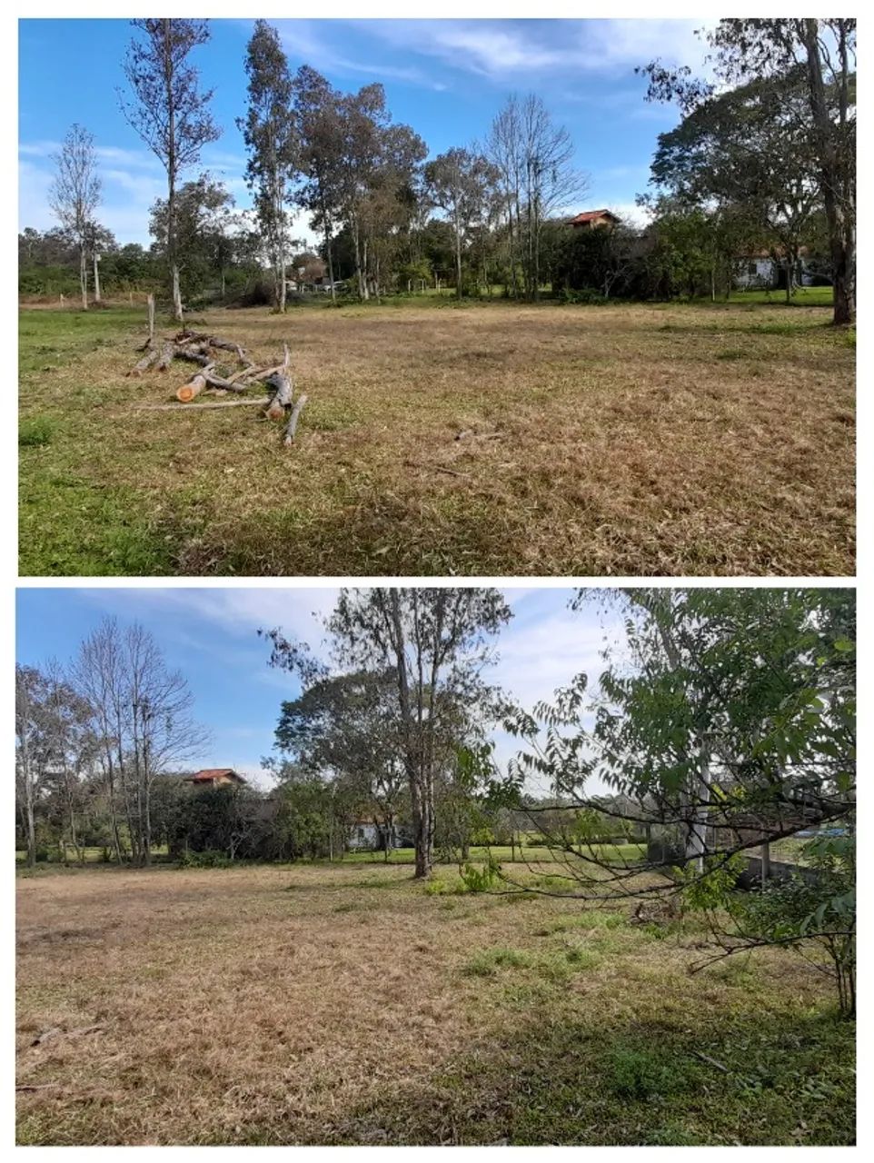 Os melhores  - Foto 3