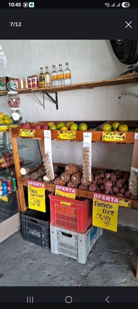 Expositor de Frutas 