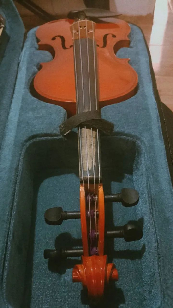 viola de arco 39