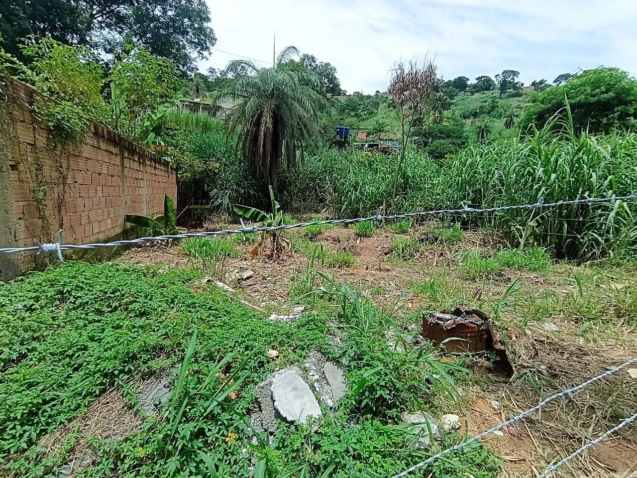 Foto - Belo Horizonte - Ribeiro de Abreu