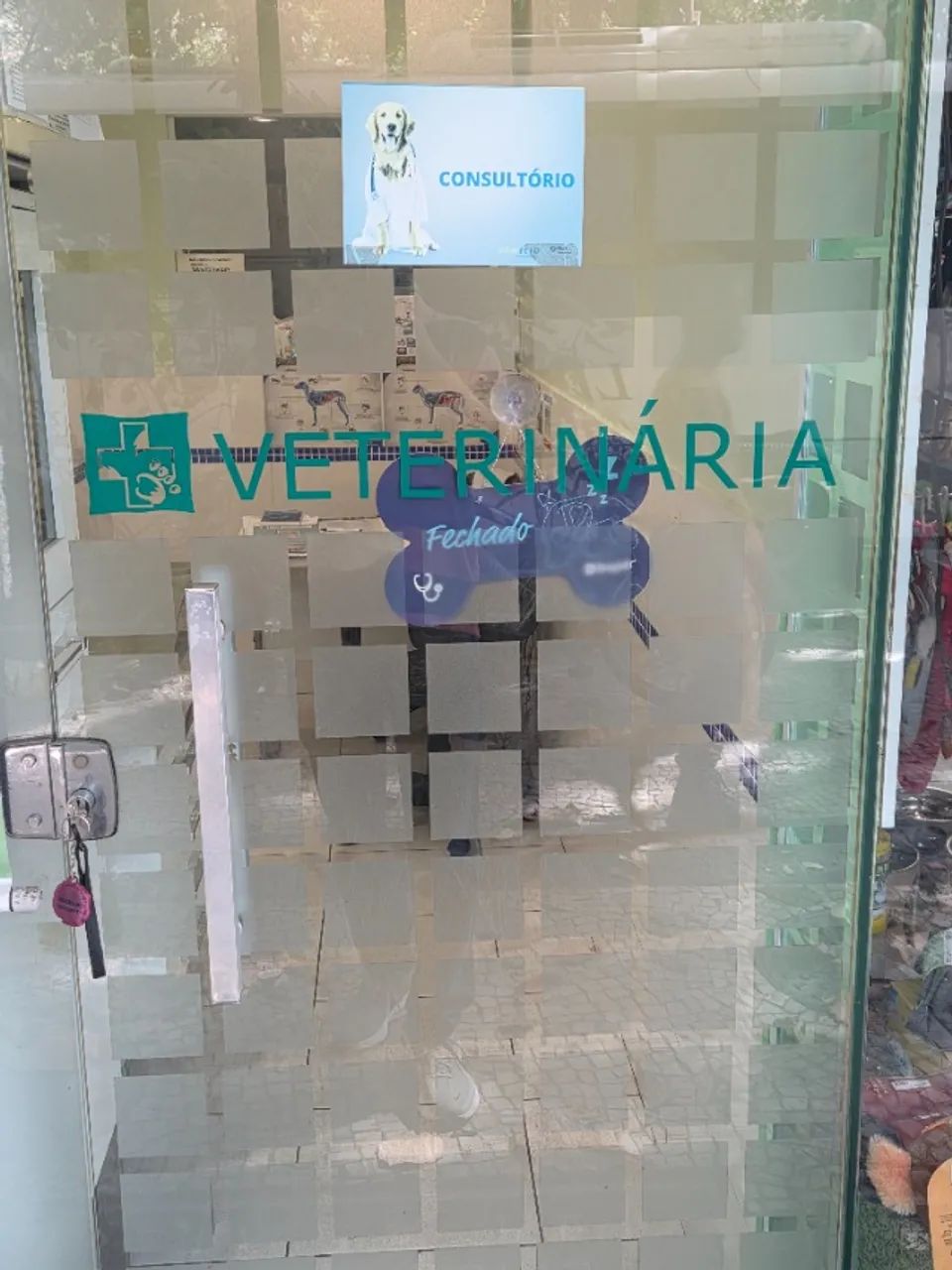 Pet Shop Zona Sul RJ - Foto 4