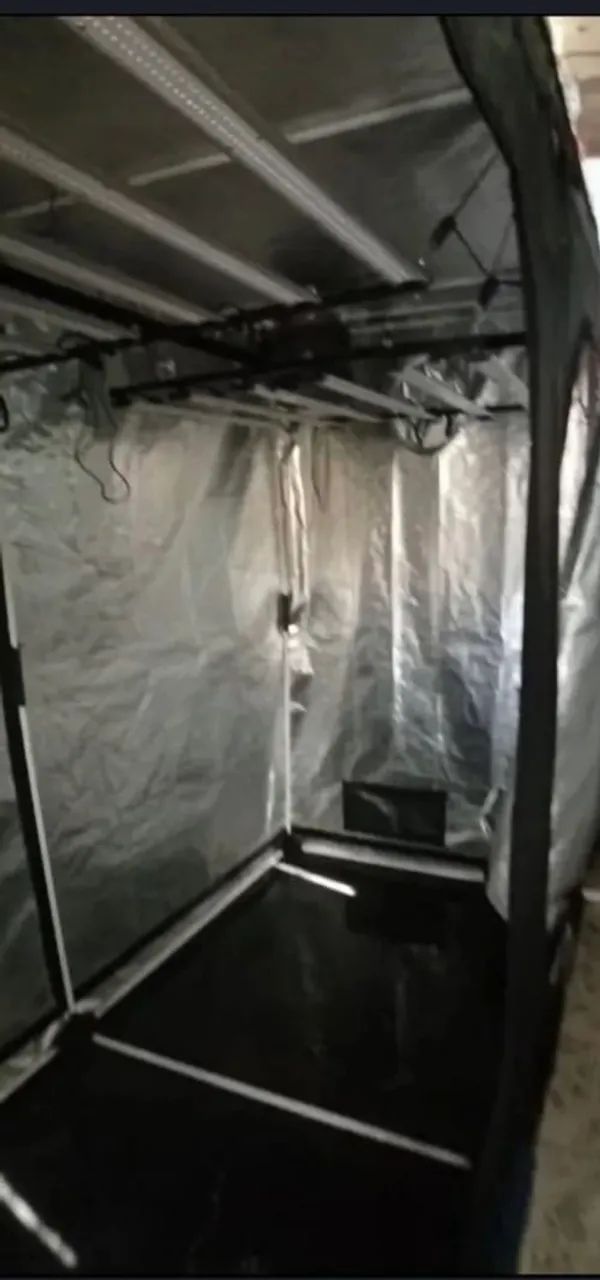 ESTUFA DE CULTIVO PROBOX BASIC 240X120X200CM USADA