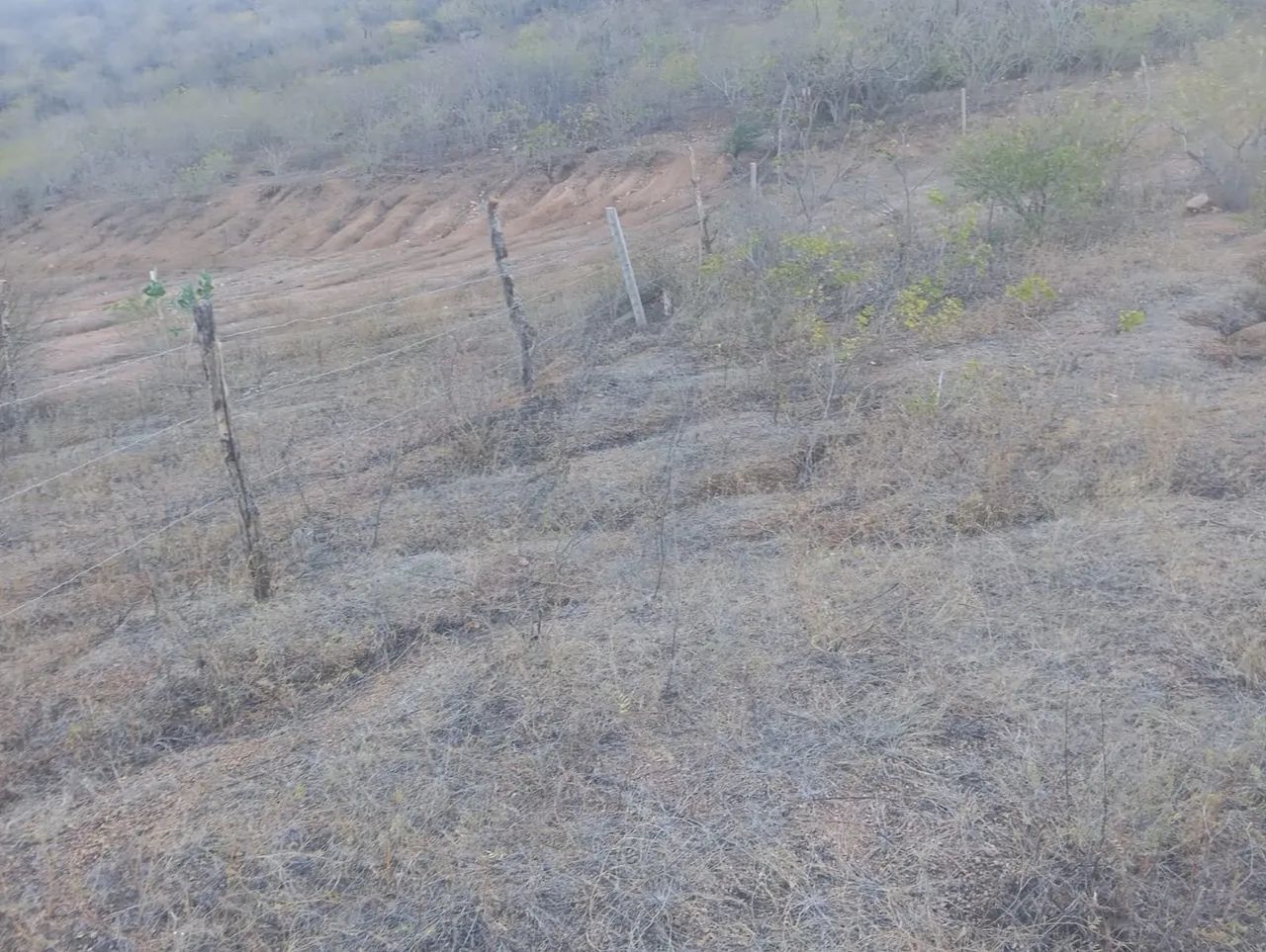 Terreno em Pão de Açúcar  - Foto 3