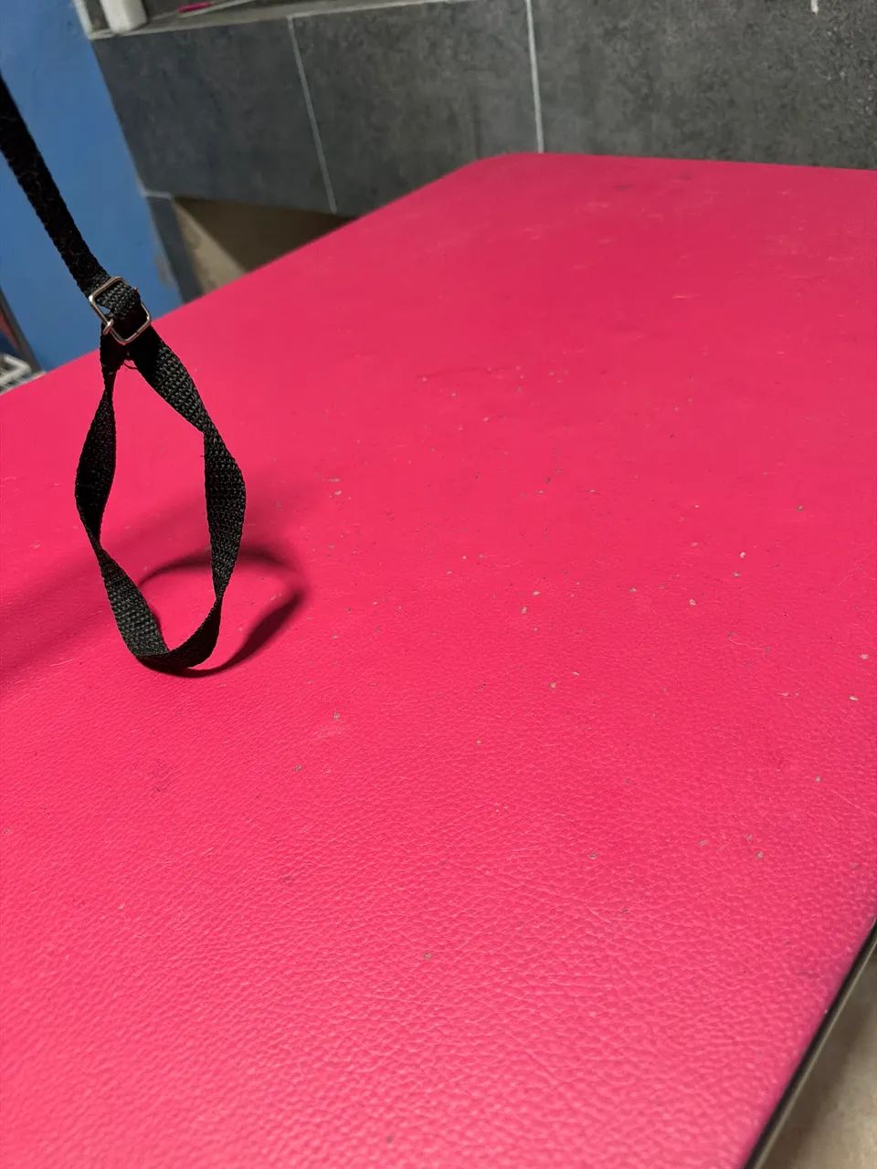 Mesa de banho e tosa rosa  - Foto 2