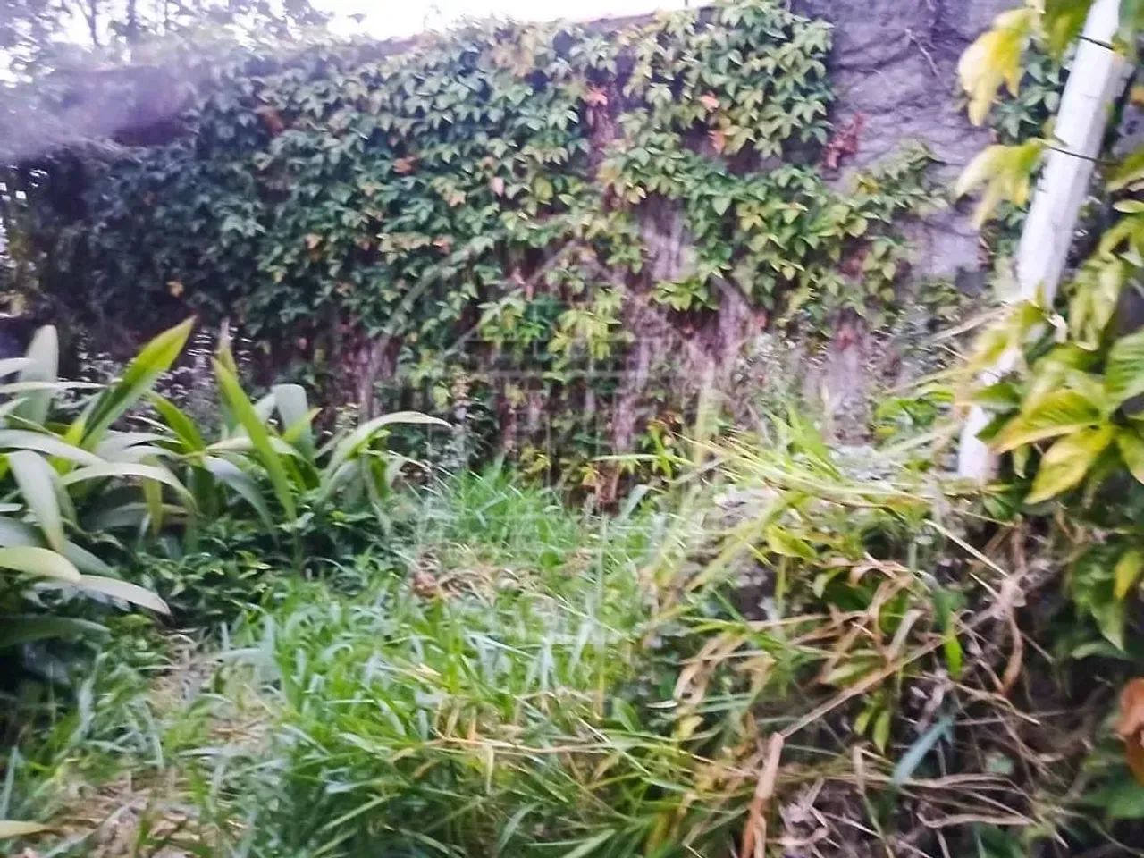 Terreno à venda em Rio Bonito - Foto 2