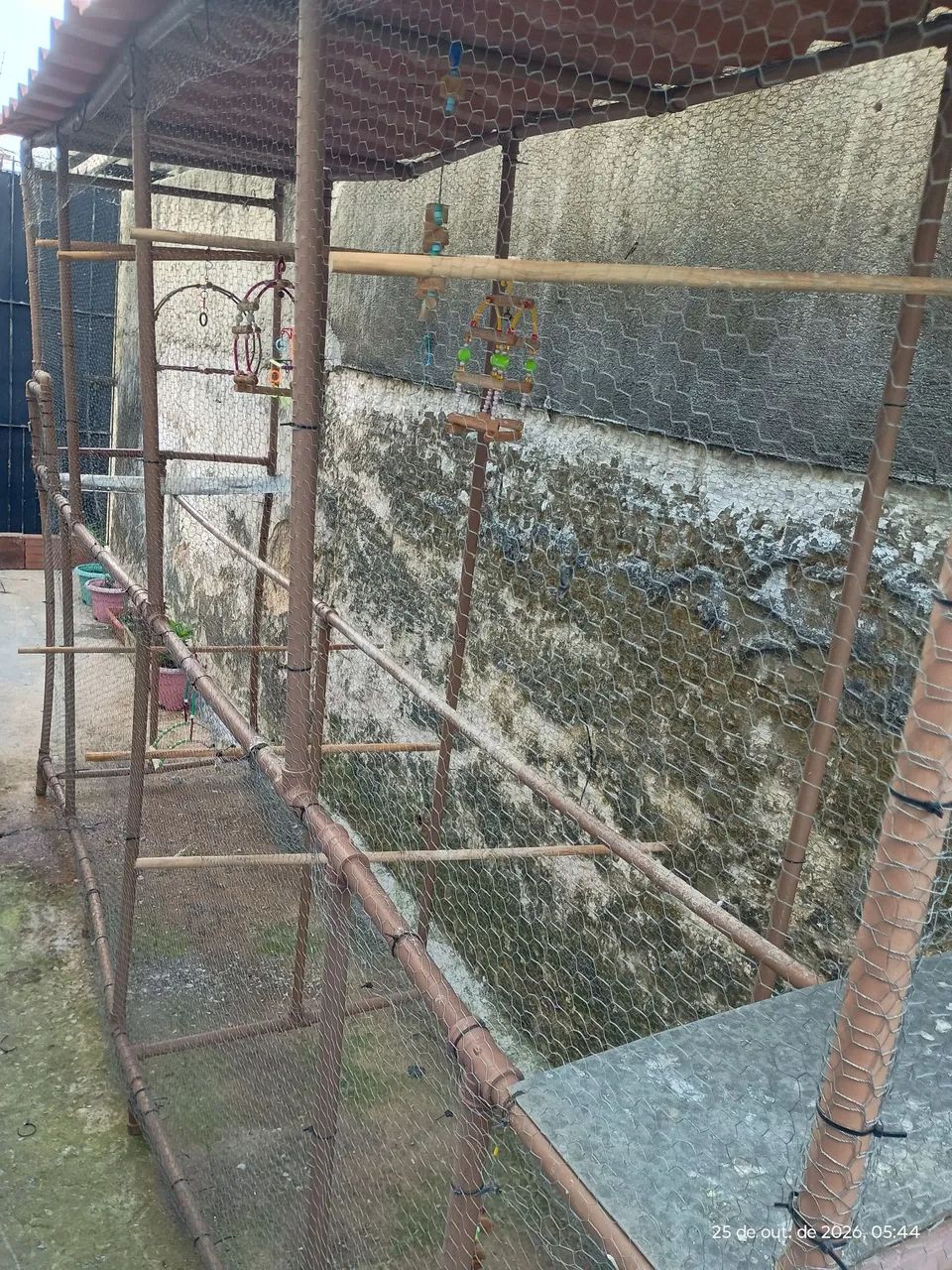 Viveiro  - Foto 2