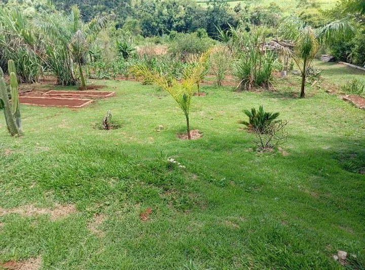 Chácara em Tamarana 