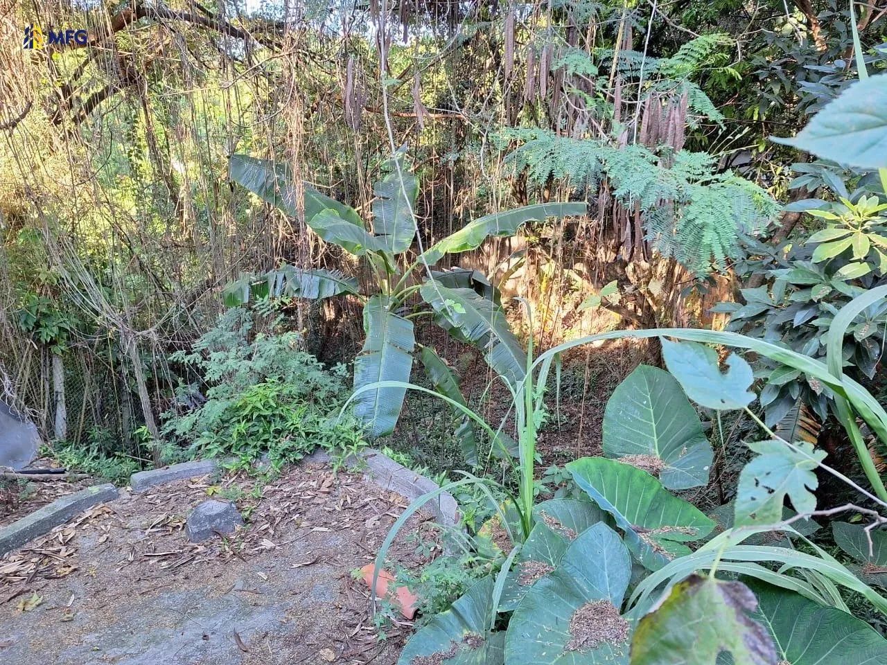 Terreno no Jardim Europa - Foto 2