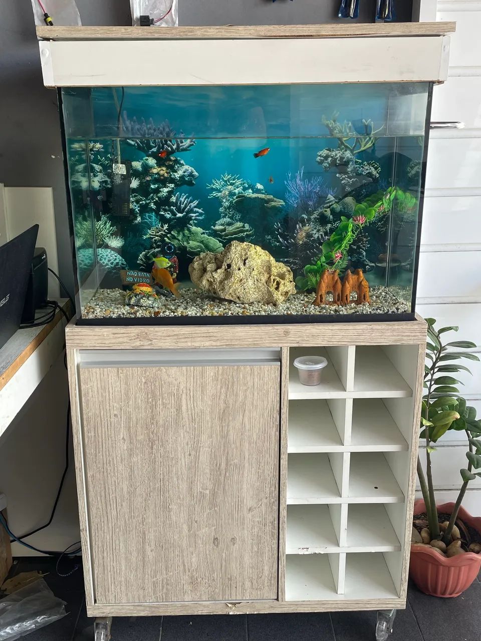 Aquário completo com móvel aceito cartão em ate 10x