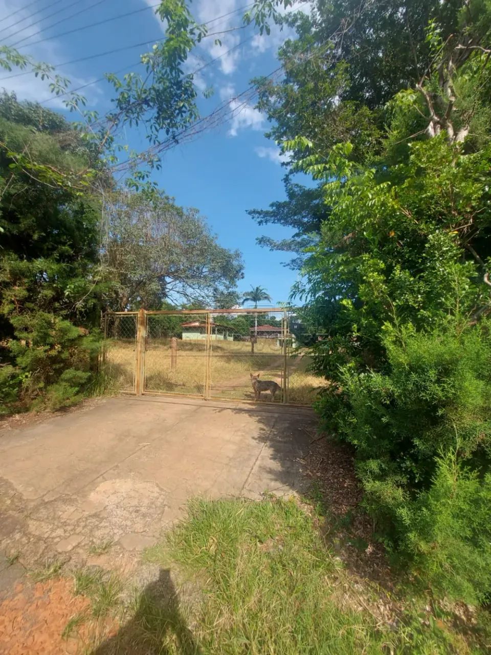 Rural Chácara em Piratininga
