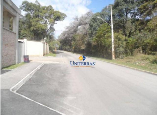Terreno para venda em colombo no bairro são gabriel - Foto 16