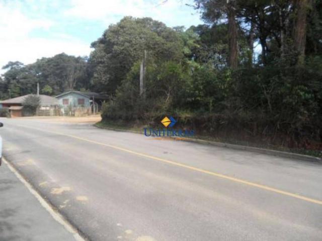 Terreno para venda em colombo no bairro são gabriel - Foto 13