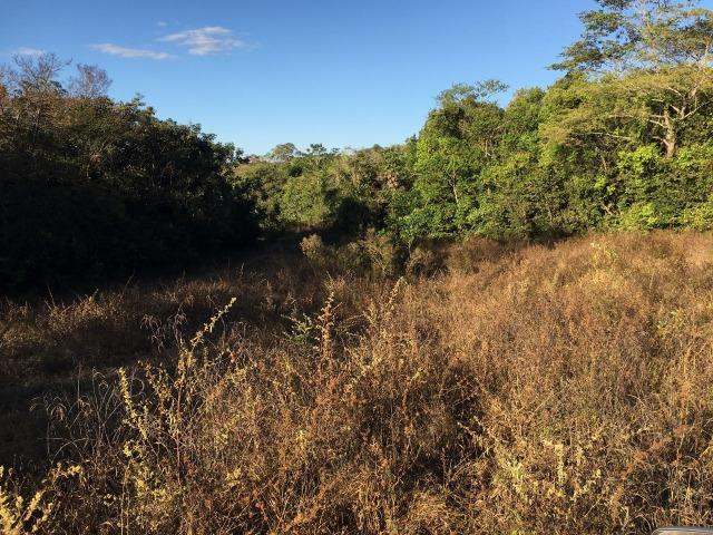 217 hectares, com 150 hectares aberto 32 km de Dom Aquino -MT - Foto 12