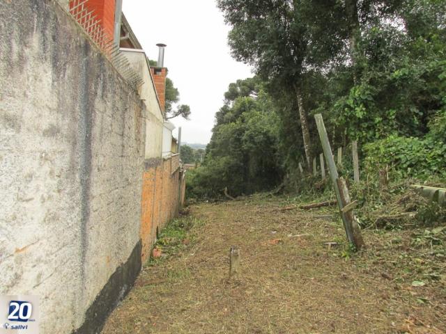 Terreno à venda em Taboao, Curitiba cod:42500.3439 - Foto 18