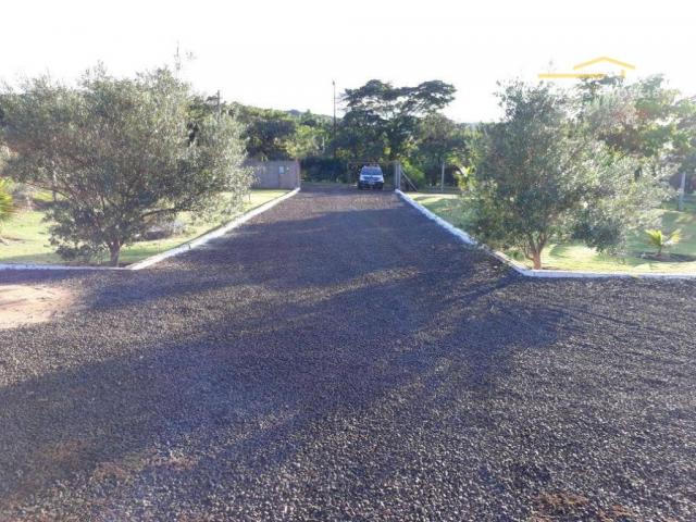 Chácara rural à venda, limoeiro, londrina. - Foto 10
