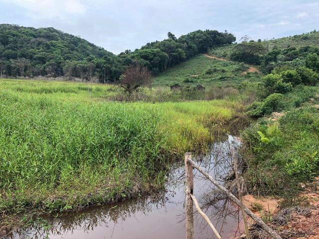 Sitio 21 hectares pasto Juquia SP